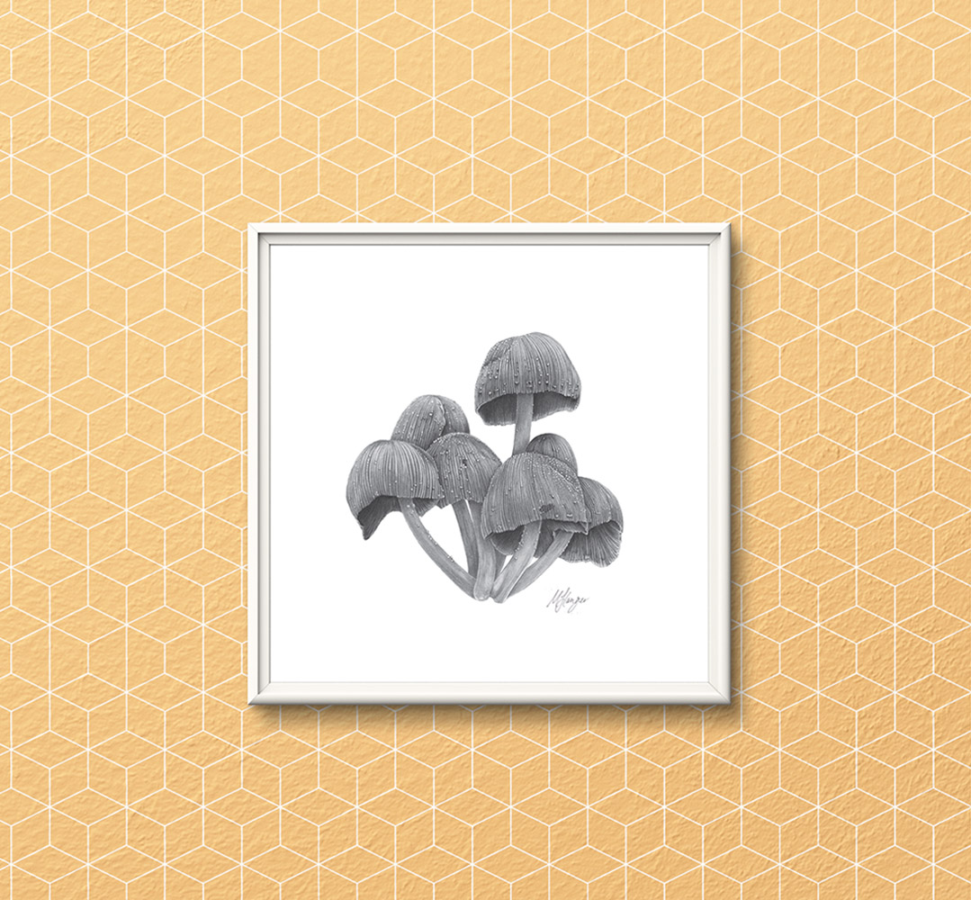 FUngi_S